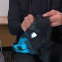 Filename=scene02931.jpg
Filesize=55KiB
Dimensions=1280x720
Date added=Mar 02, 2024 scene02931.jpg